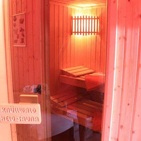 sauna-in-paradise-2009-ALL-626-550x550